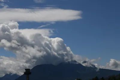 DSC_6313 (Large).JPG